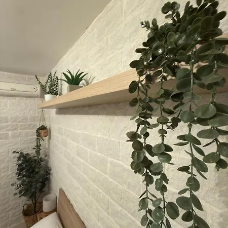 Il Terra Cielo * 모두가노