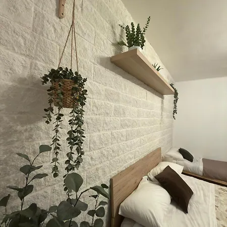 아파트 Il Terra Cielo 모두가노